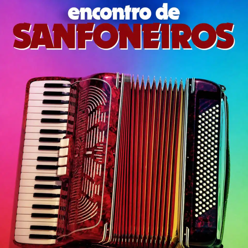 Encontro De Sanfoneiros