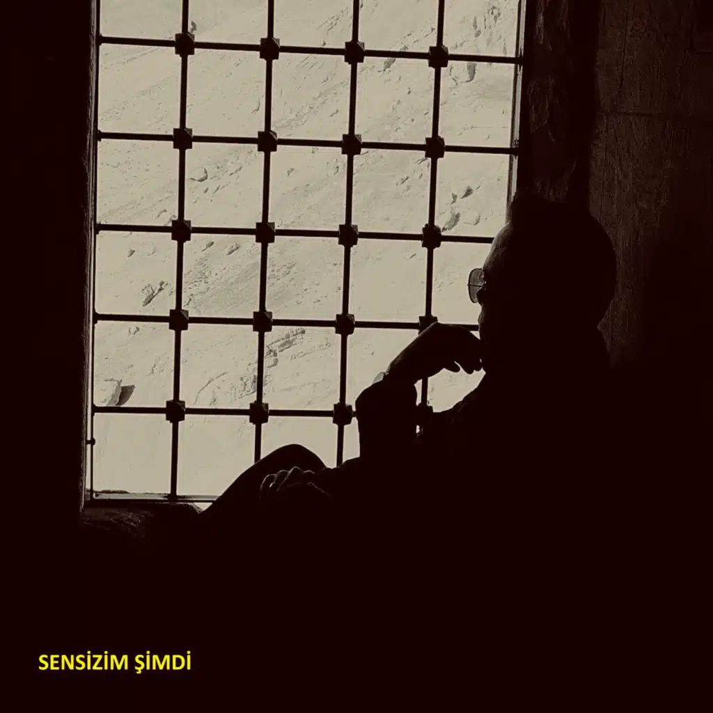 SENSİZİM ŞİMDİ