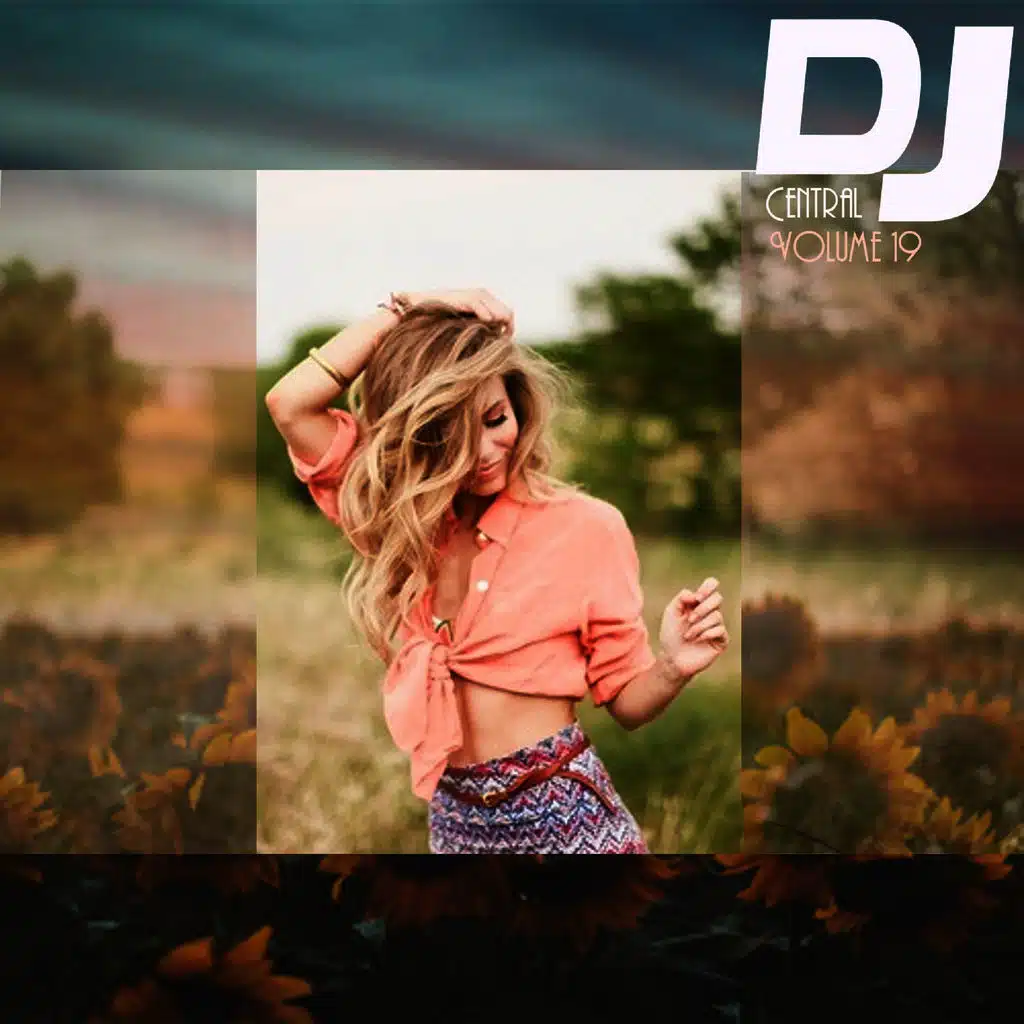 DJ Central: Vol. 19