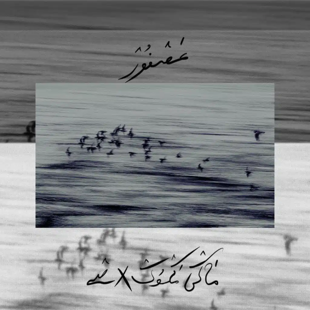 Asfoor عصفور