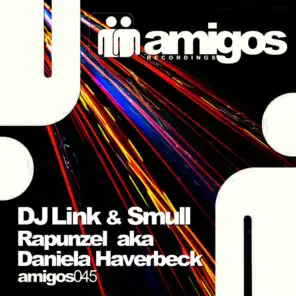 DJ Link & Smull