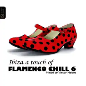 Flamenco Chill 6