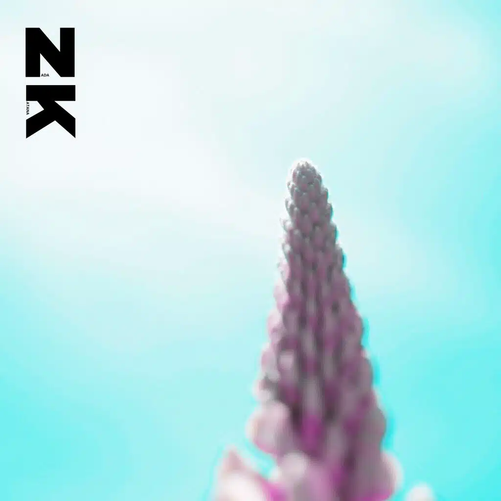 NK