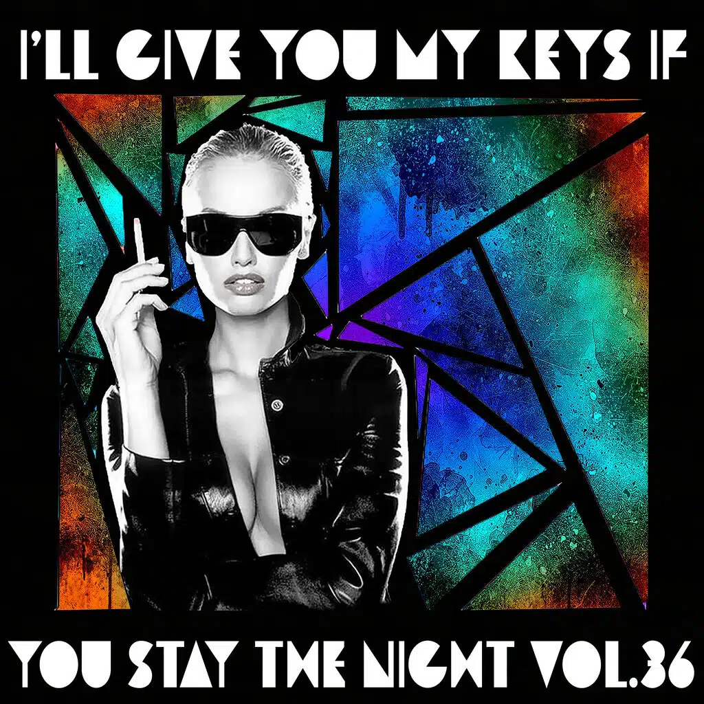 I'll Give You My Keys If You Stay the Night, Vol. 36