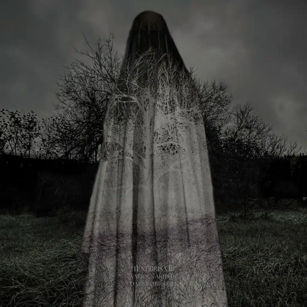 Tenebris VIII