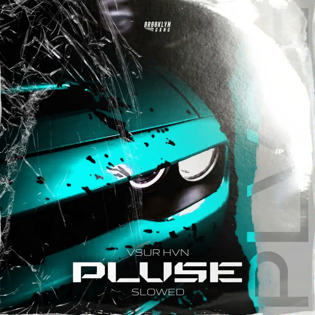 PLVSE (Slowed)