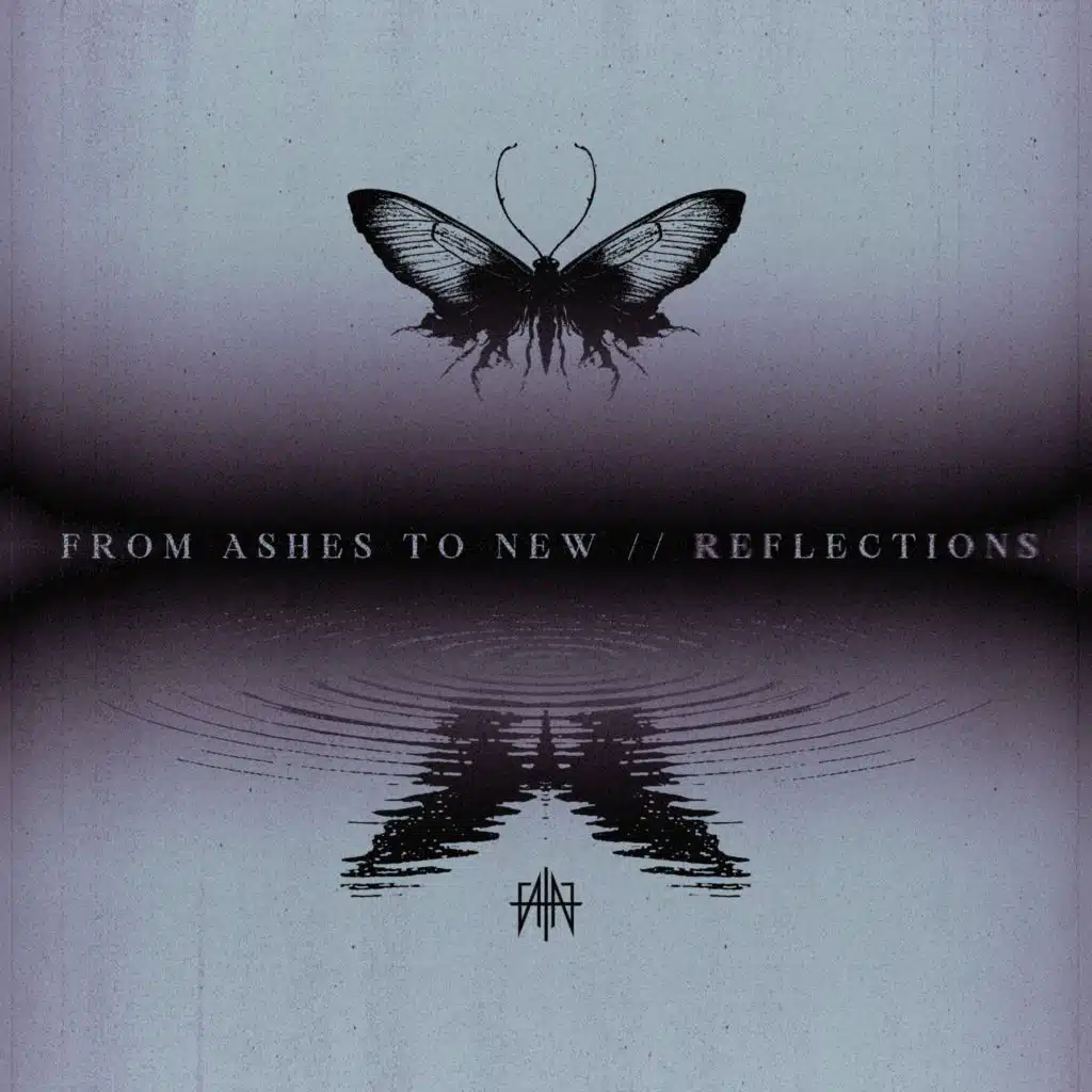 Reflections