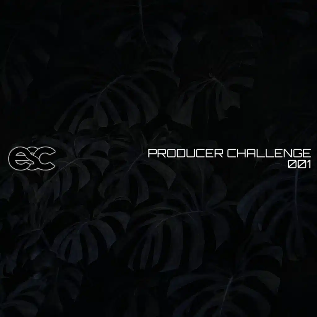 ESC PRODUCER CHALLENGE 001