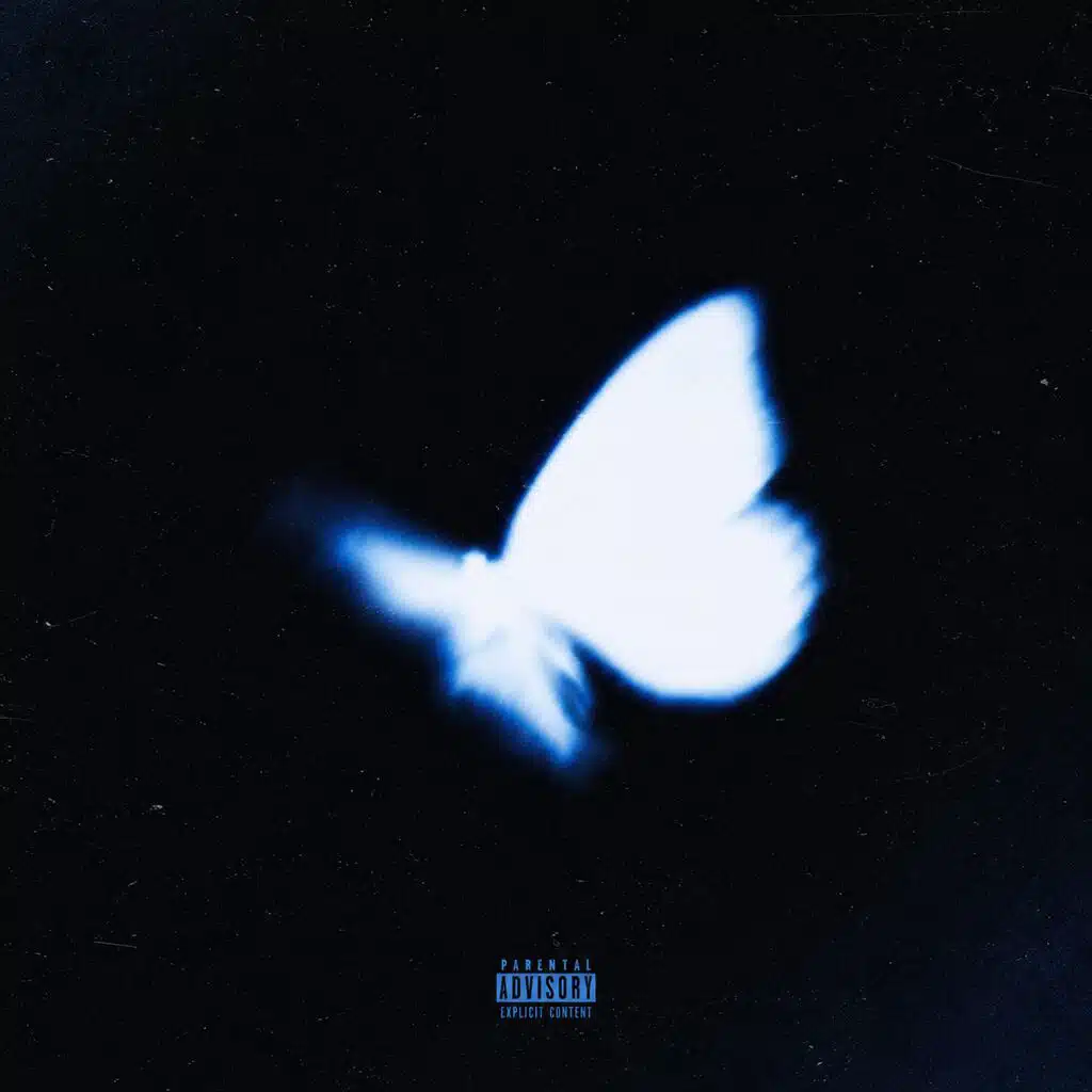NO GRAVITY (feat. SAPPHIREoriginal)