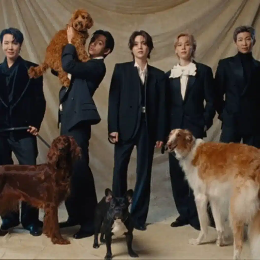 Song Review: BTS – Normal