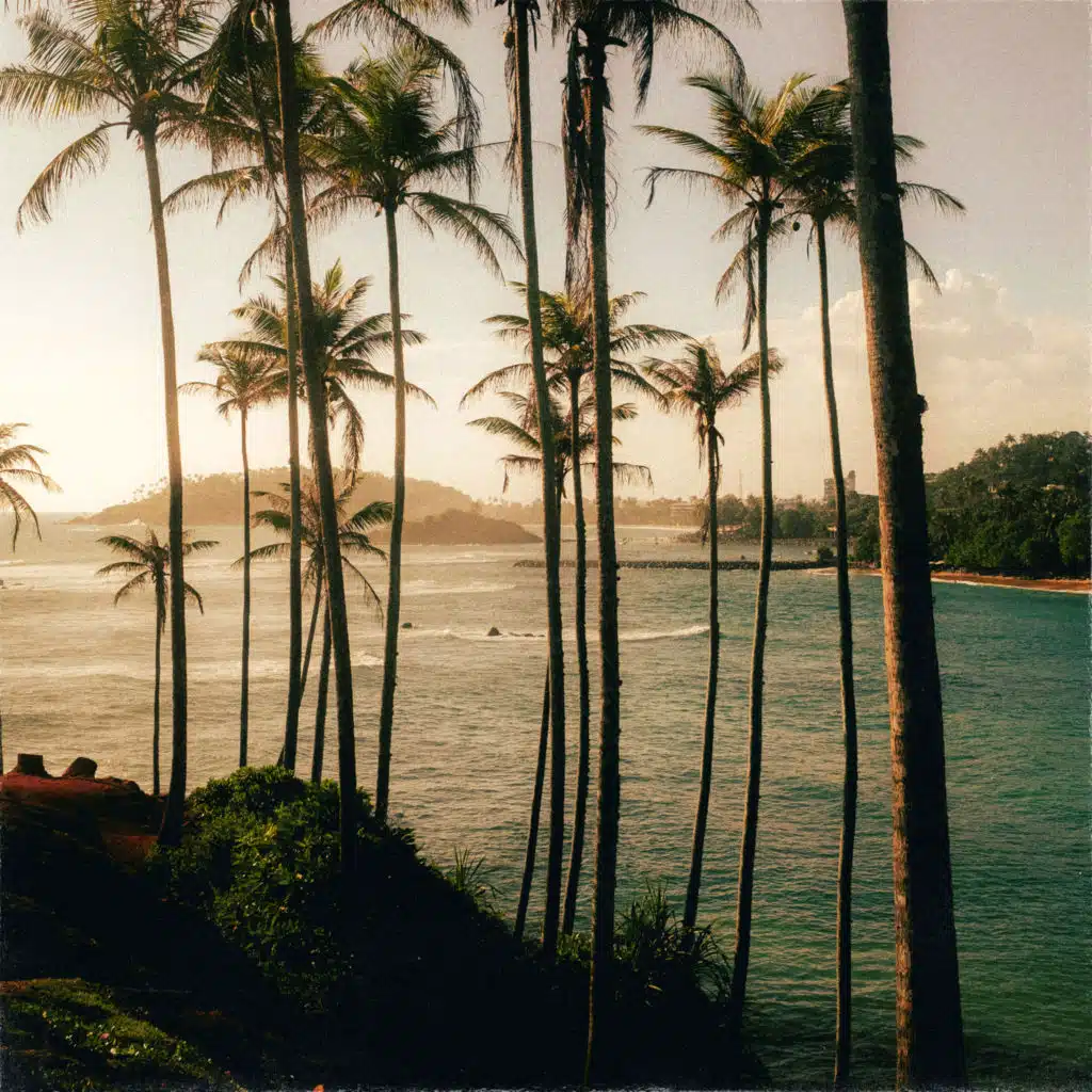 offshore paradise
