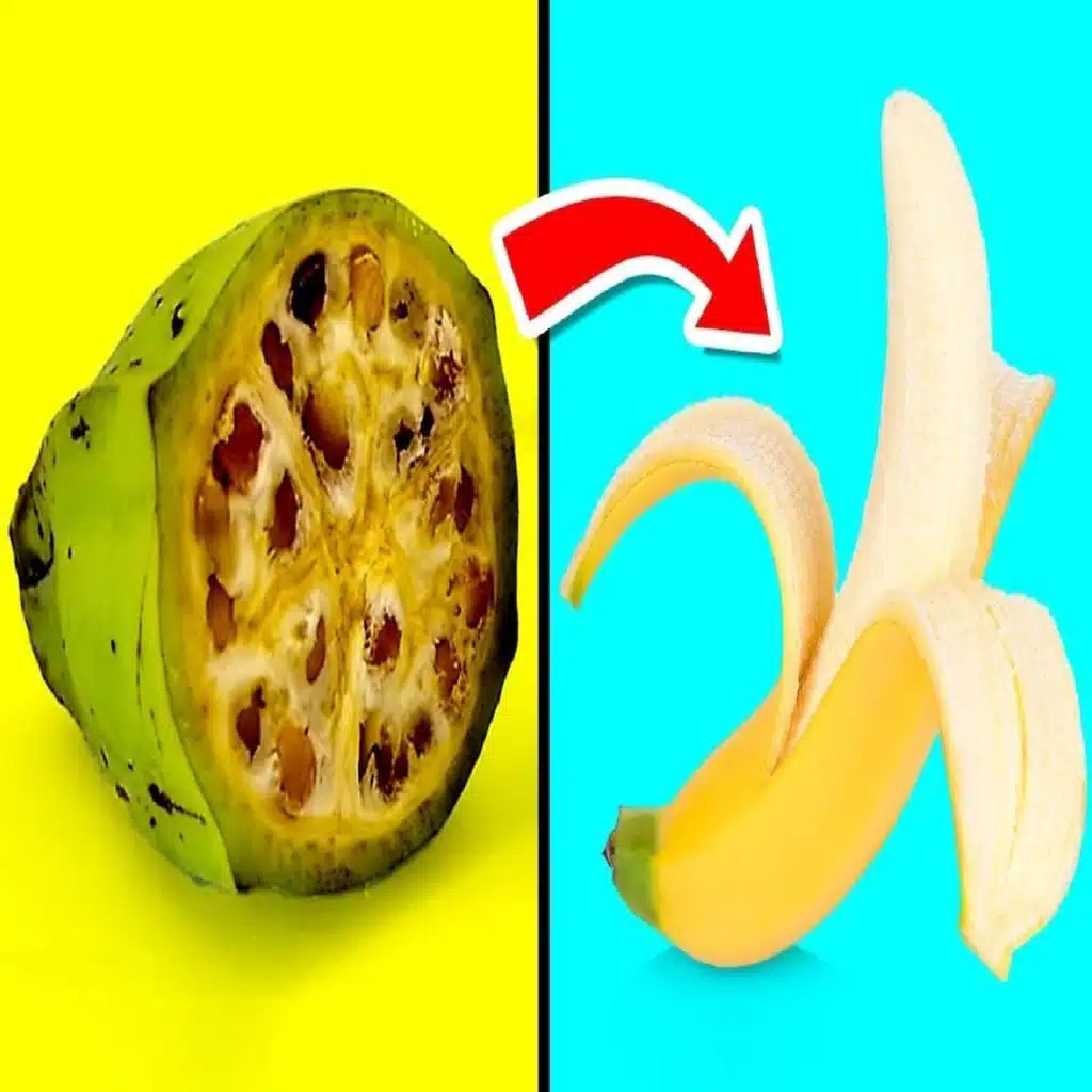 Foods That Originally Looked Totally Different