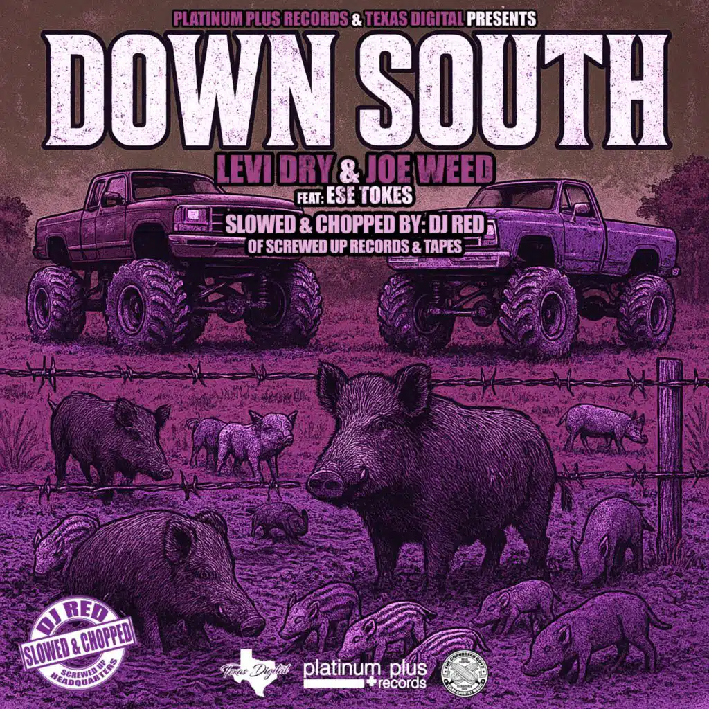 Down South (DJ Red Remix) (Slowed & Chopped)