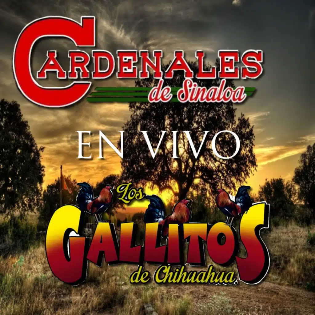 En Vivo