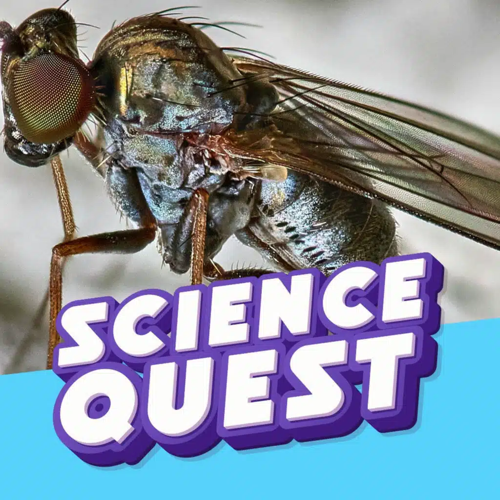 Why Do Mosquito Bites Itch?🦟