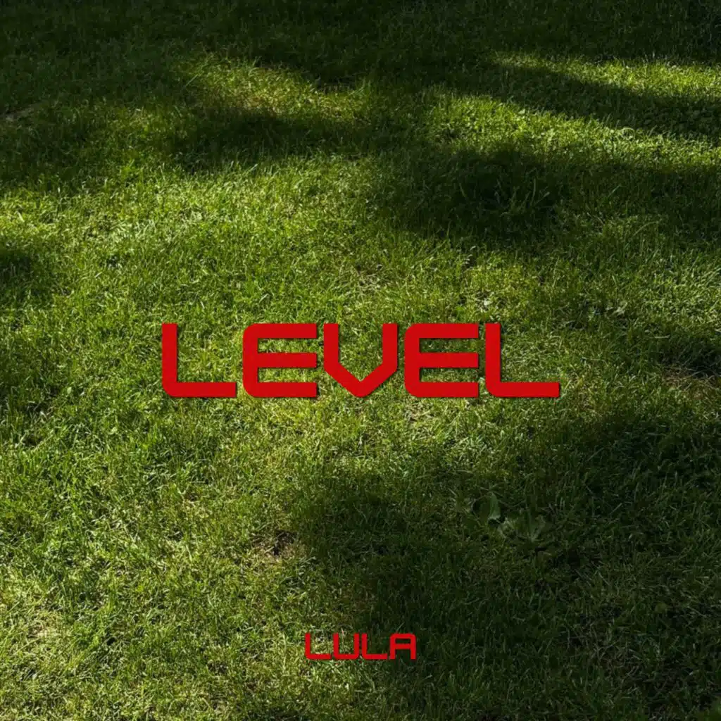 Level