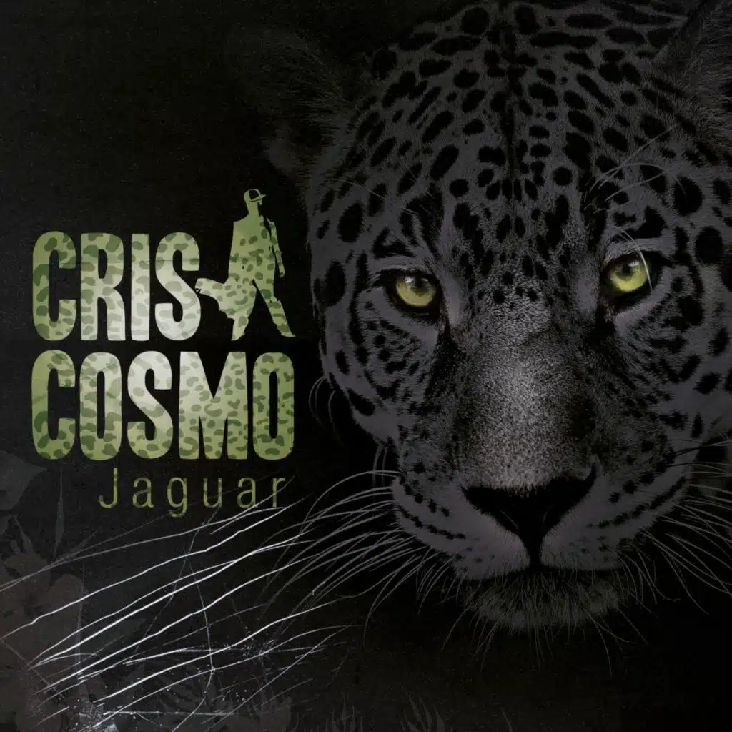 Jaguar (feat. Jamaram, Mambe, Vivien & Claxy)
