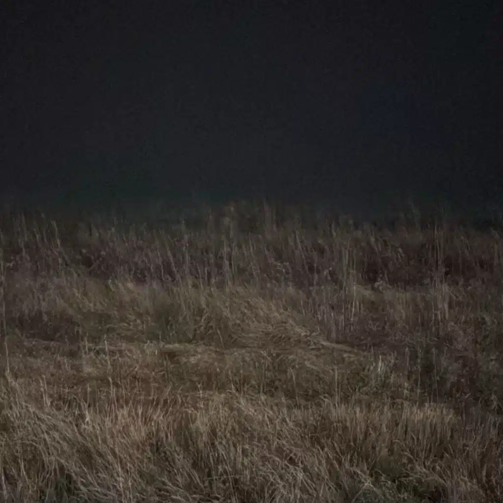 Nightshift