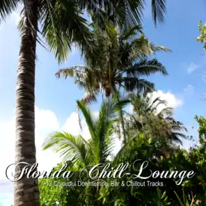 Florida Chill Lounge - 12 Colourful Downtempo, Bar & Chillout Tracks