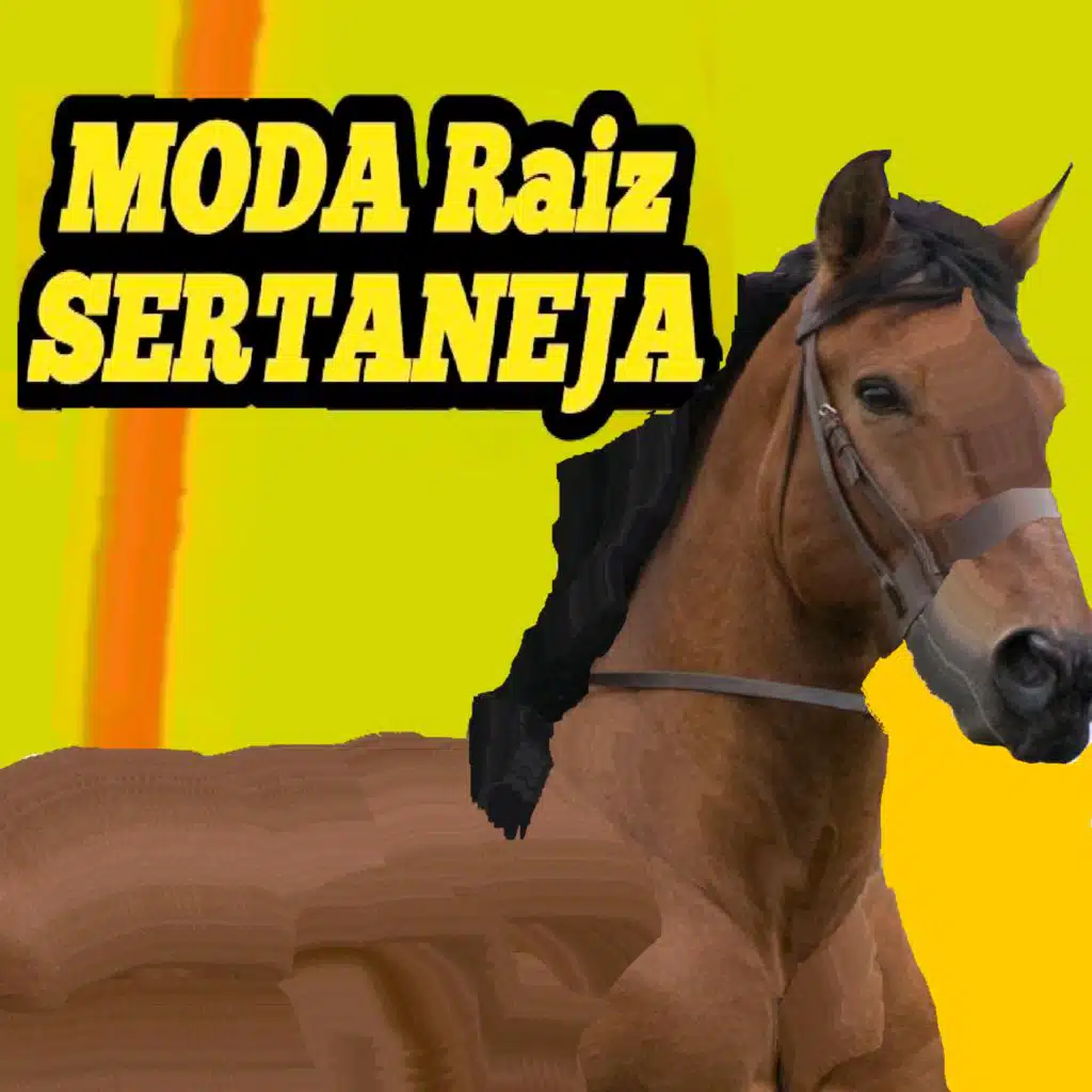 Moda Raiz Sertaneja