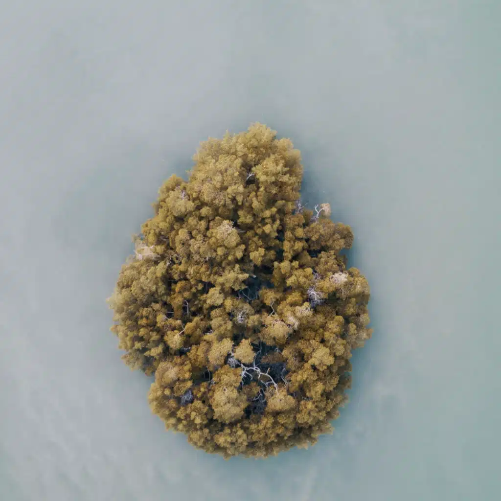 Island