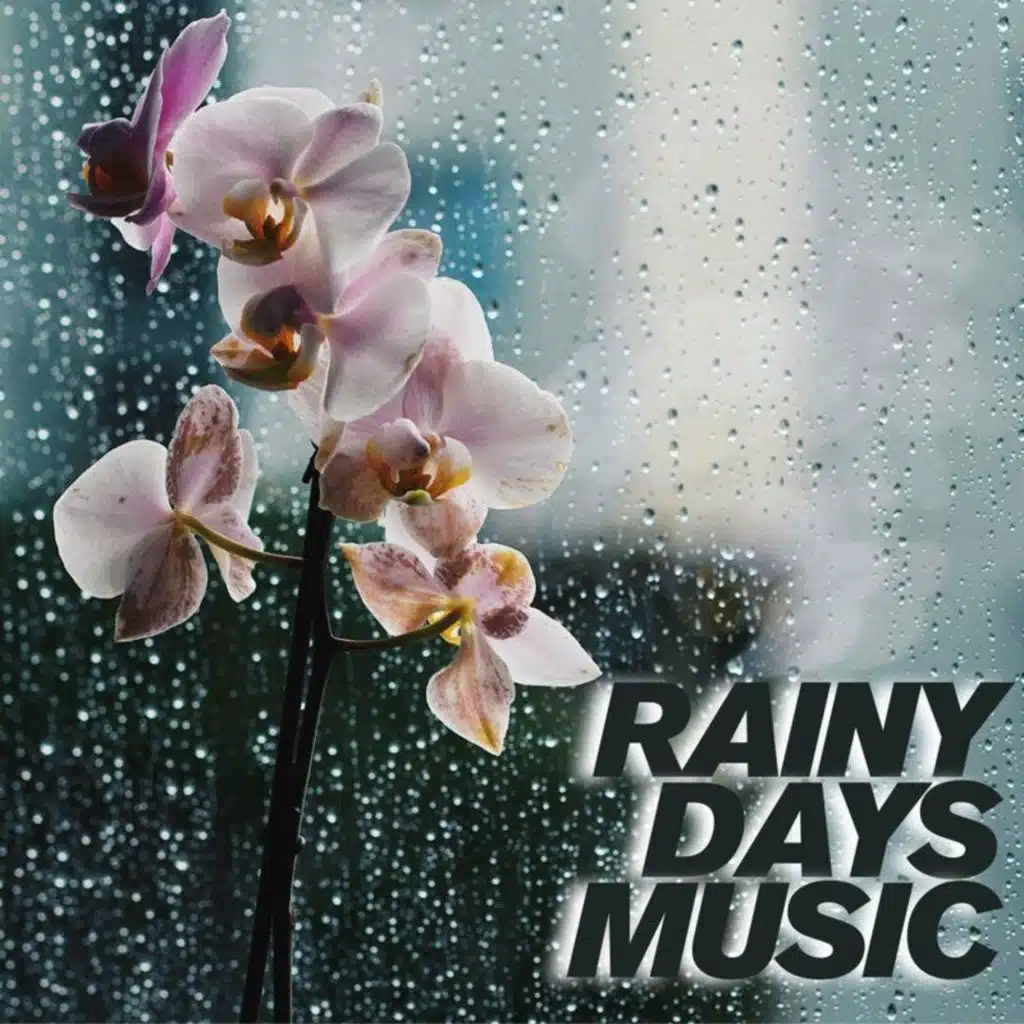Rainy Days Music