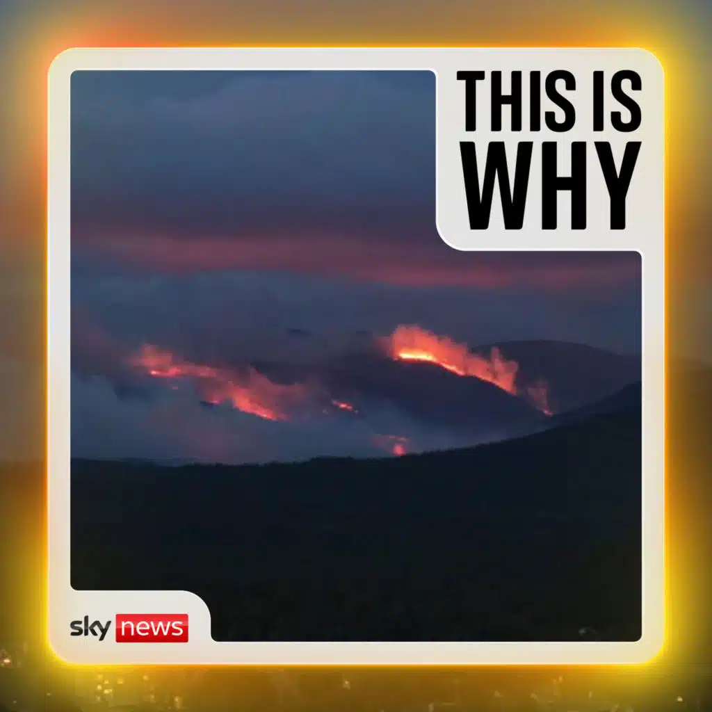 Why the UK needs to learn from Europe’s wildfires
