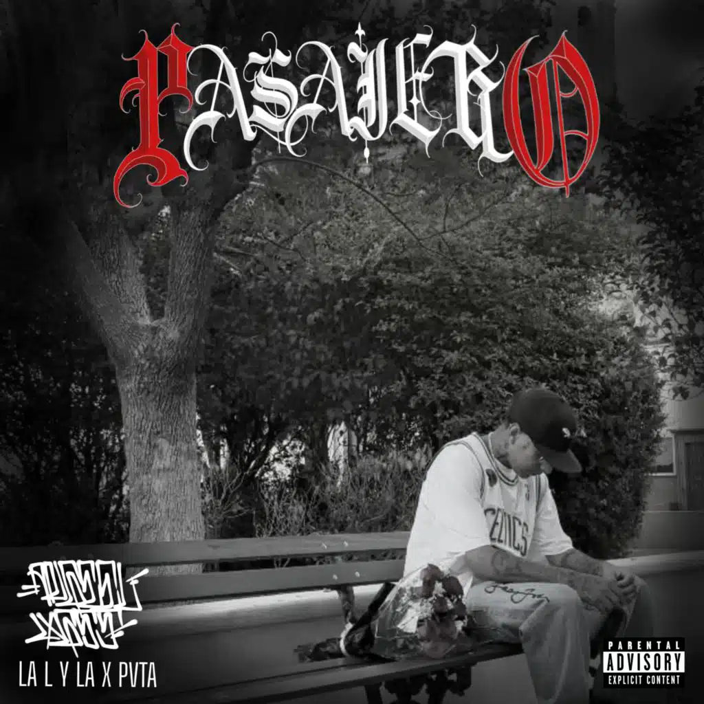PASAJERO
