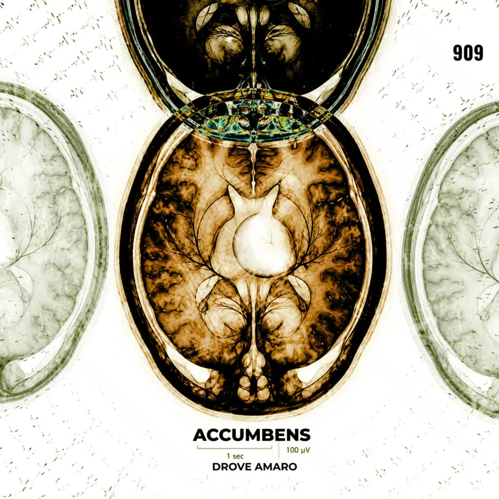 ACCUMB€N$