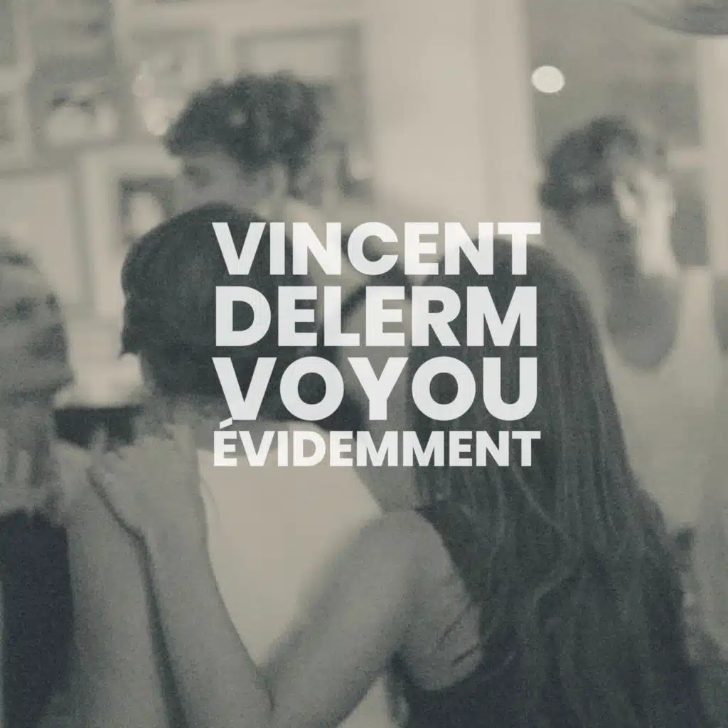 Vincent Delerm & Voyou