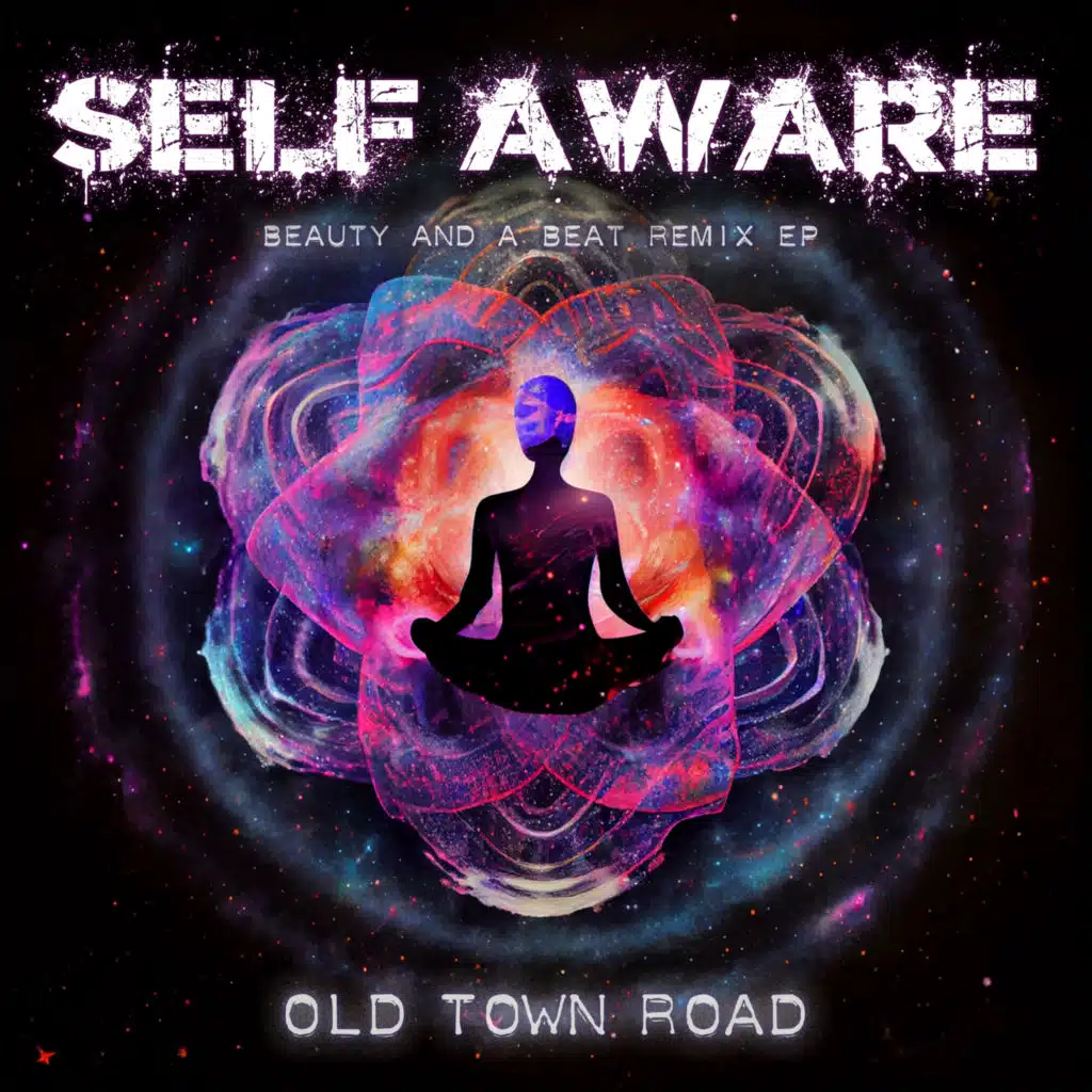 Self Aware (Beauty and a Beat Remix EP)