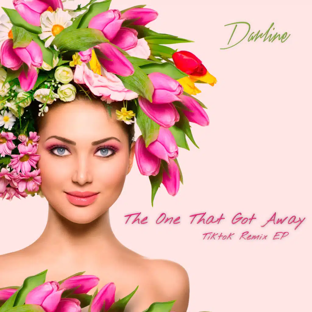 The One That Got Away (Tiktok Remix EP)