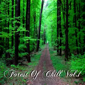 Forest Of Chill, Vol. 1 - 12 Finest Chill-Out & Downtempo Songs