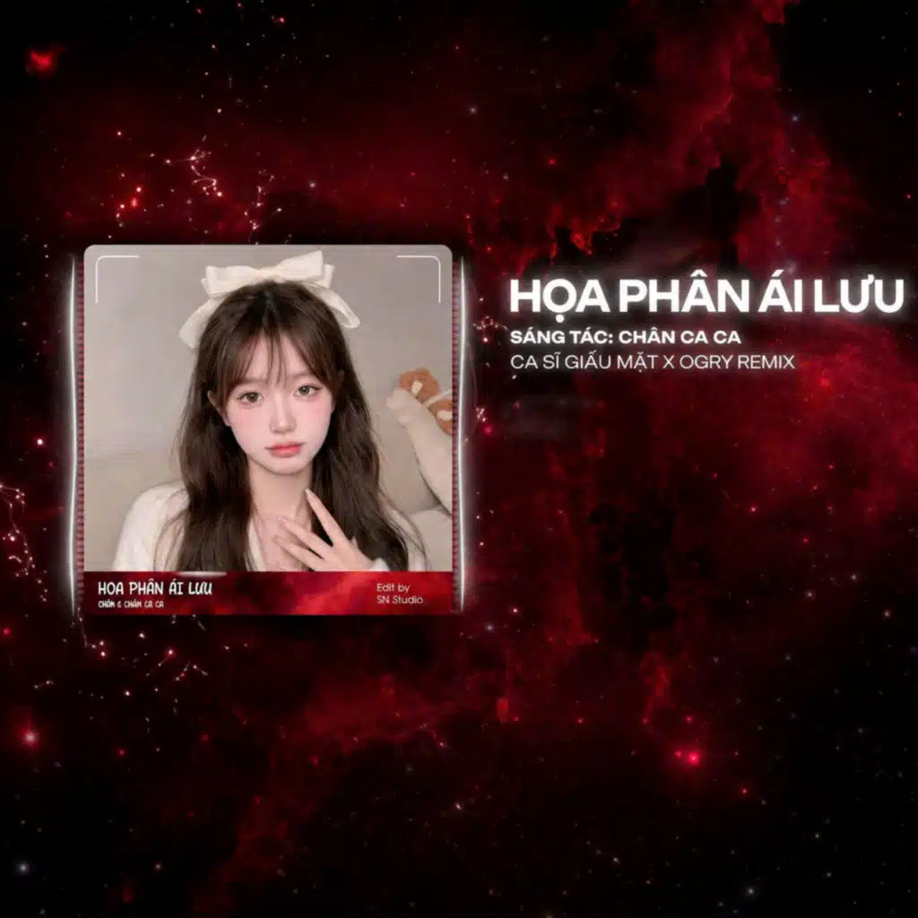 Họa Phận Ái Lưu (OGry Remix)