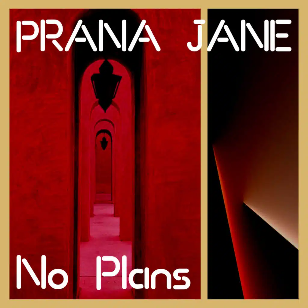 No Plans