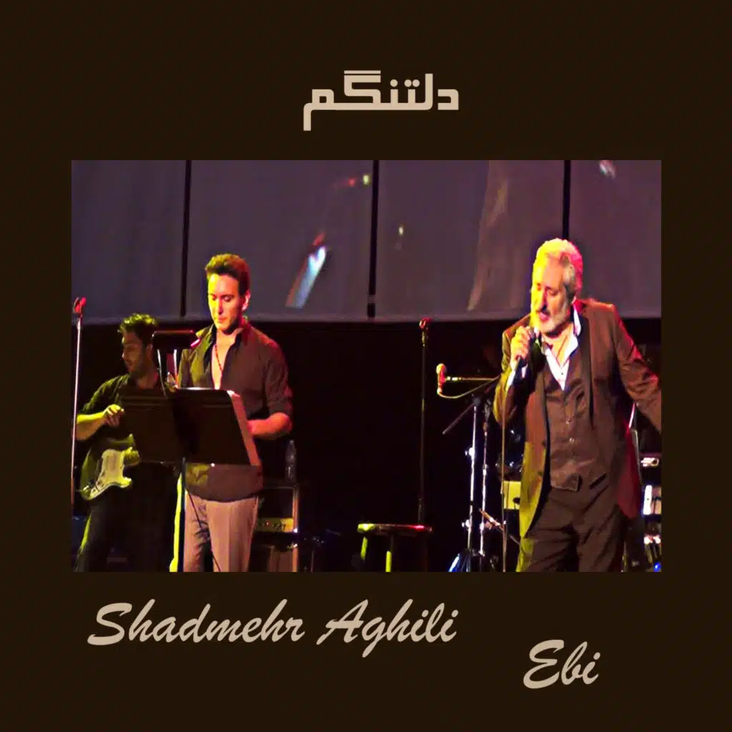 دلتنگم (feat. Shadmehr Aghili)