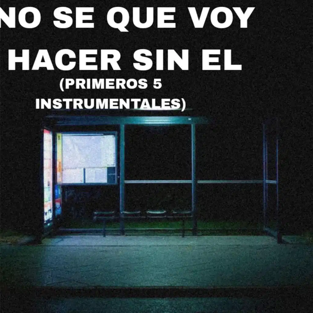 NO SE QUE VOY HACER SIN EL(PRIMEROS 5 INSTRUMENTALES)