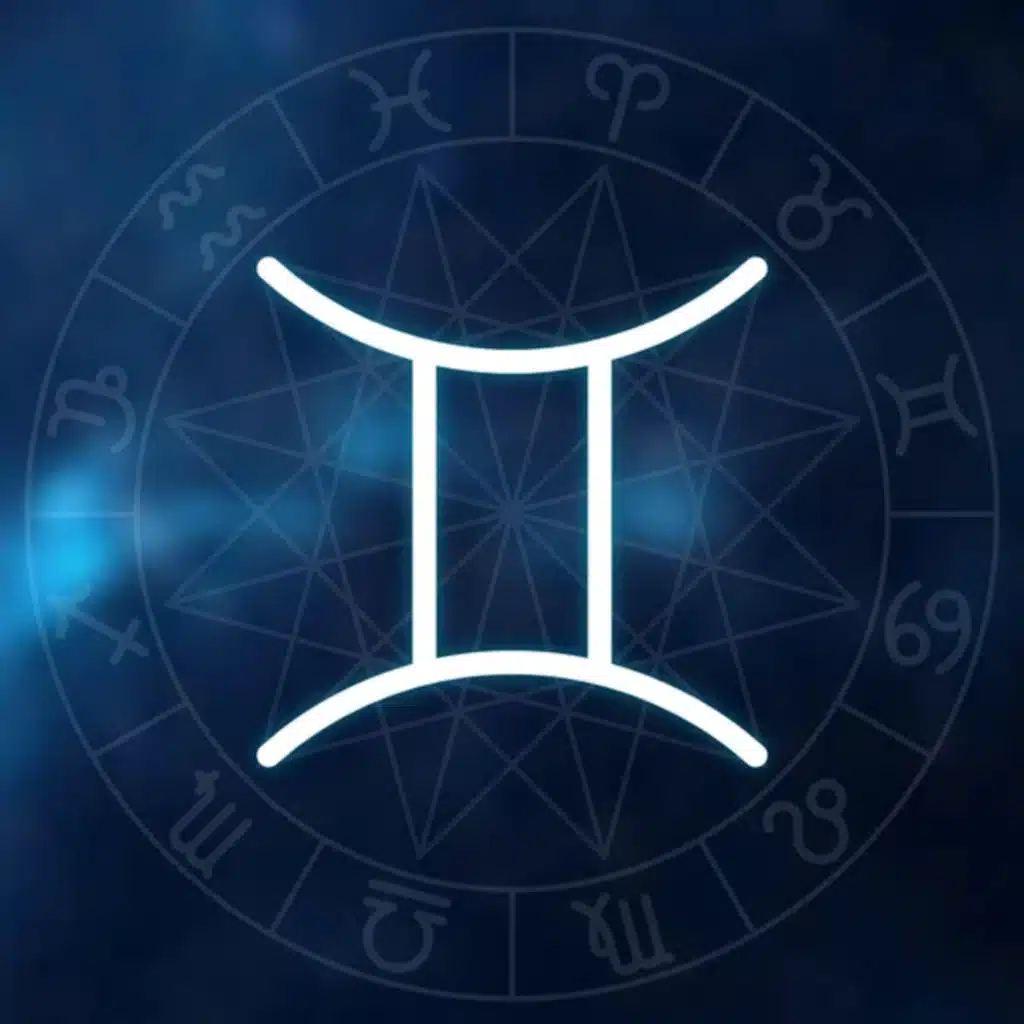 БЛИЗНЮКИ