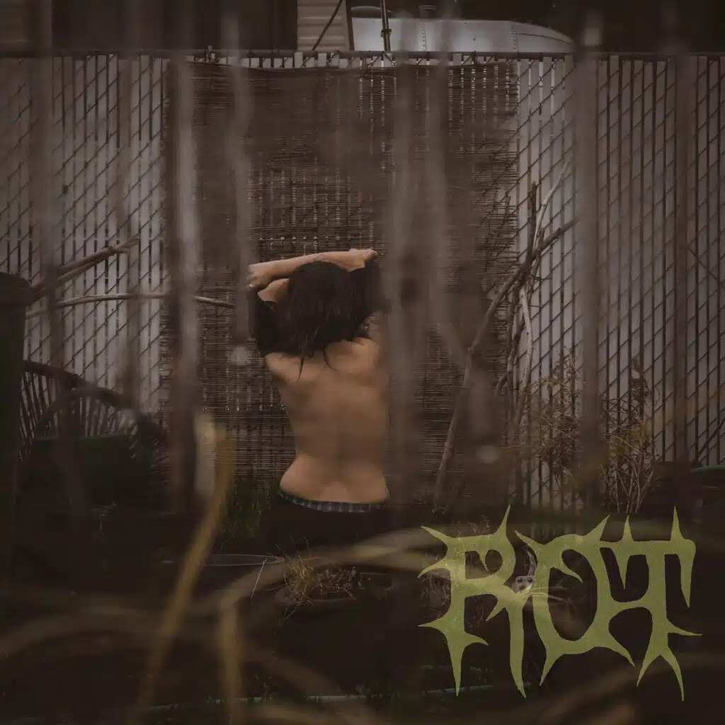 Rot