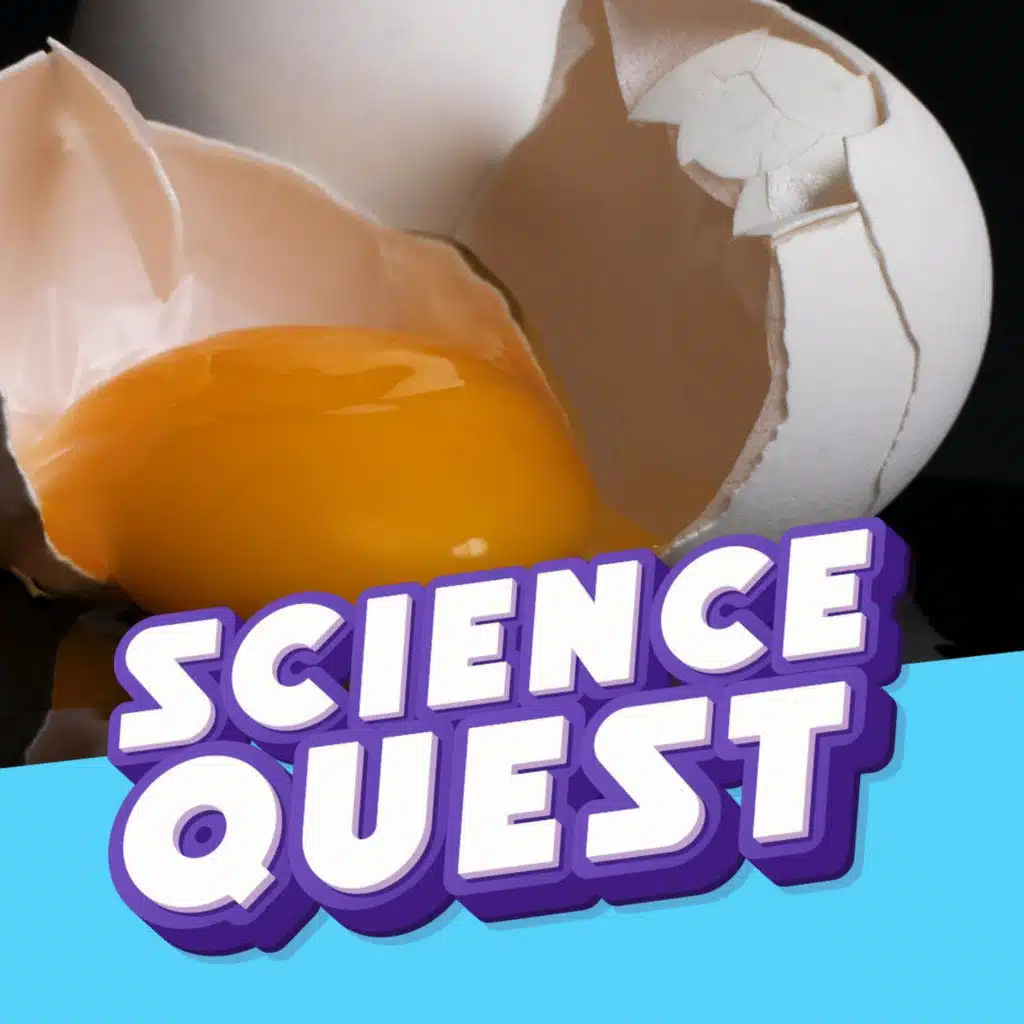 The Loudest Breakfast Ever: Cooking Eggs With Pure Sound Waves 🔊🥚