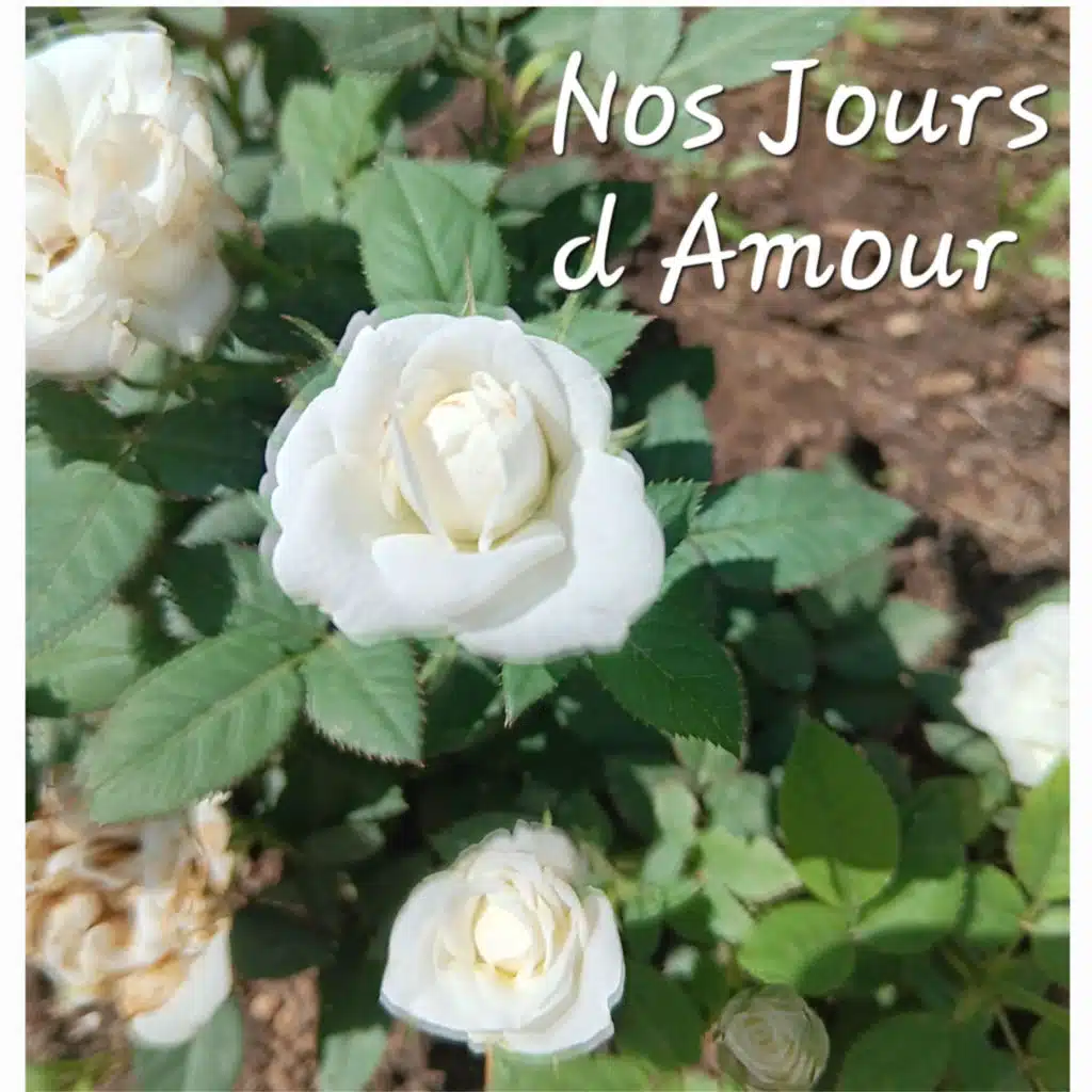 Nos jours d amour