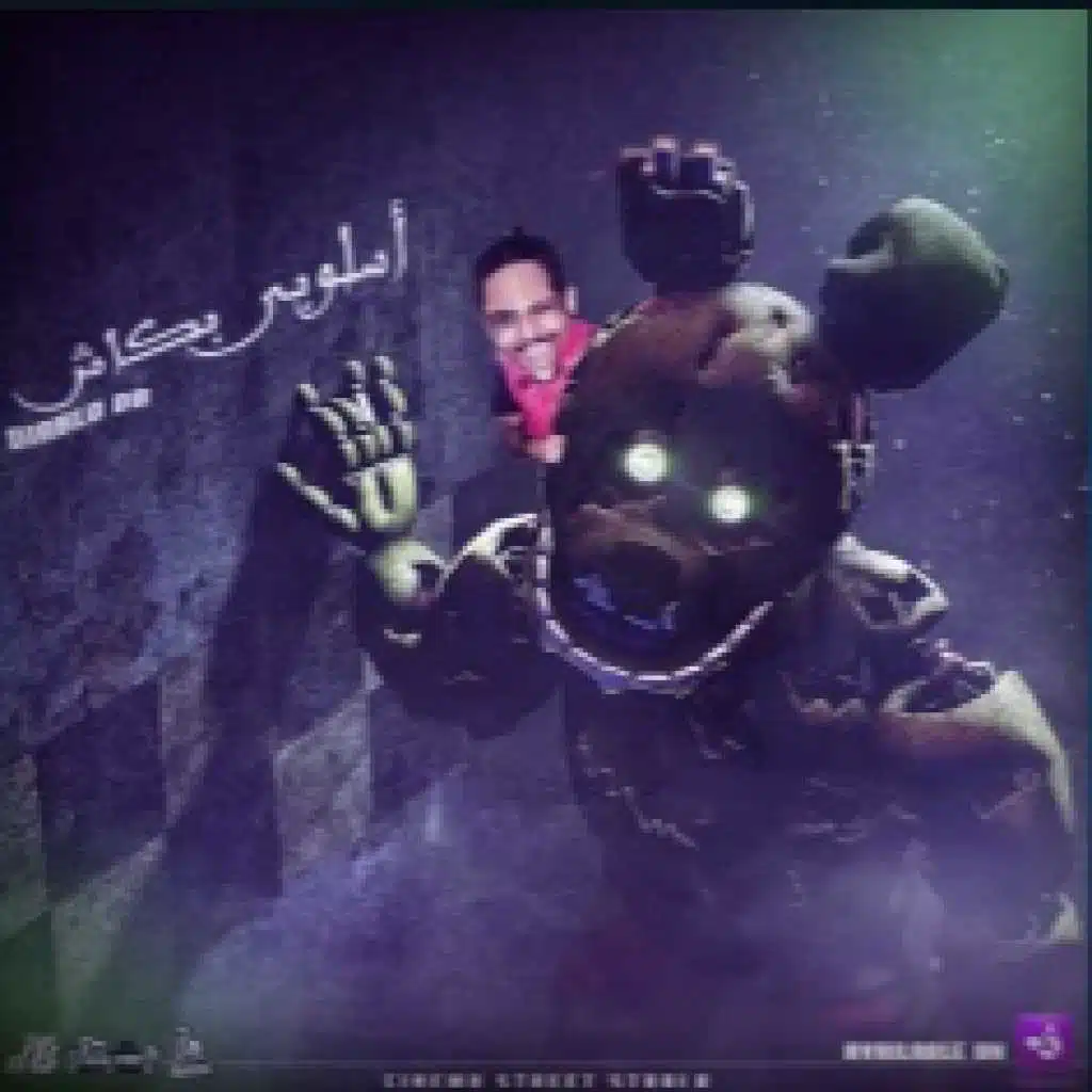 اسلوبى بكاش