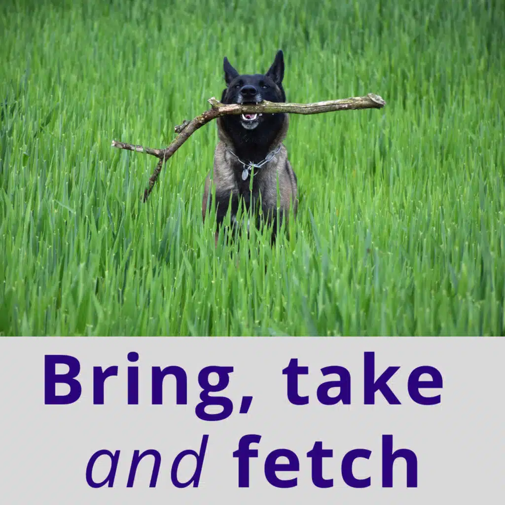 Bring, Take & Fetch Explained: Common Mistakes and Everyday English Expressions - AIRC632