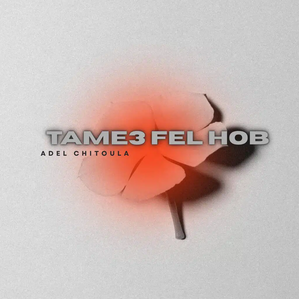 TAME3 FEL HOB