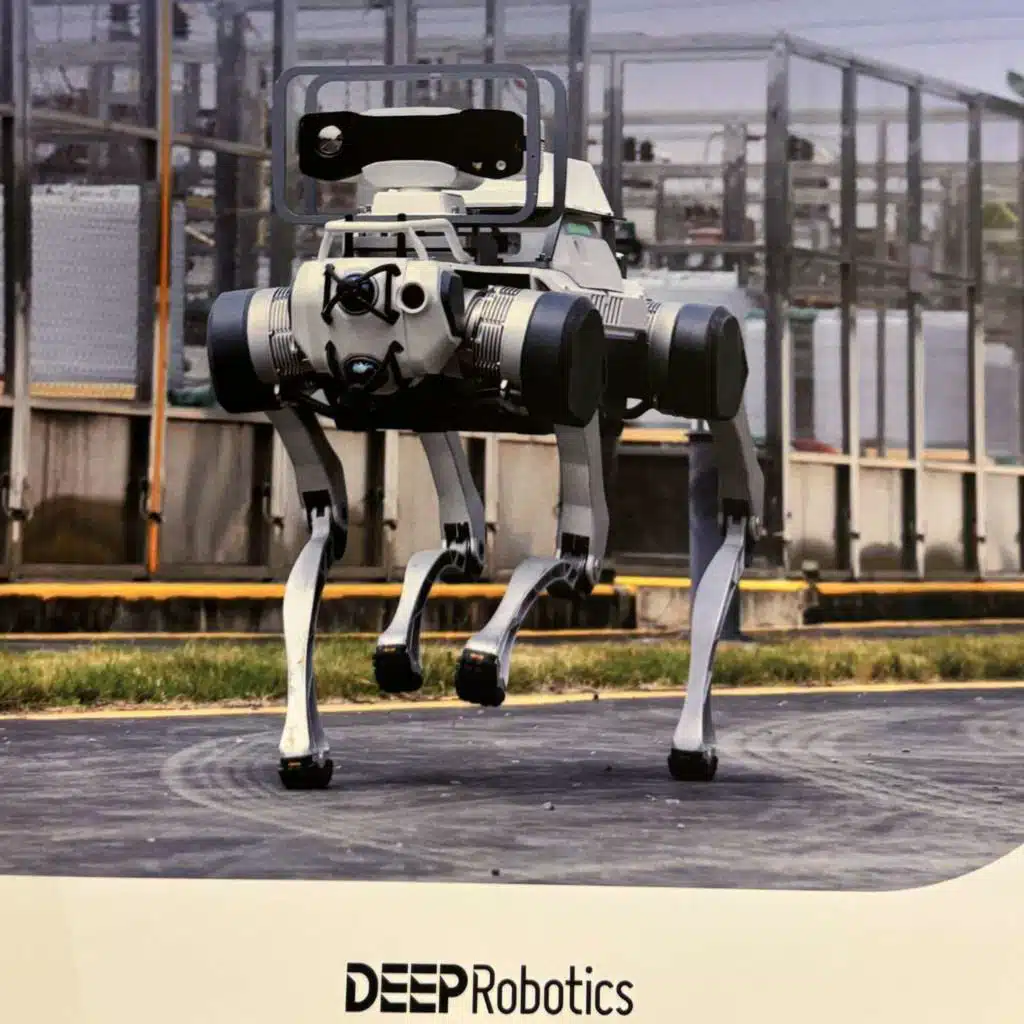 Why DEEP Robotics, Galbot and Booster Robotics Are Compelling (291)