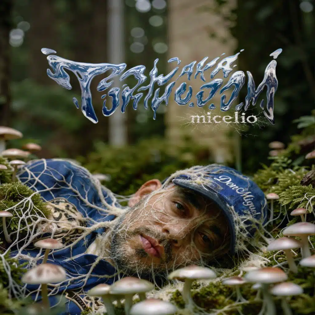 MICELIO