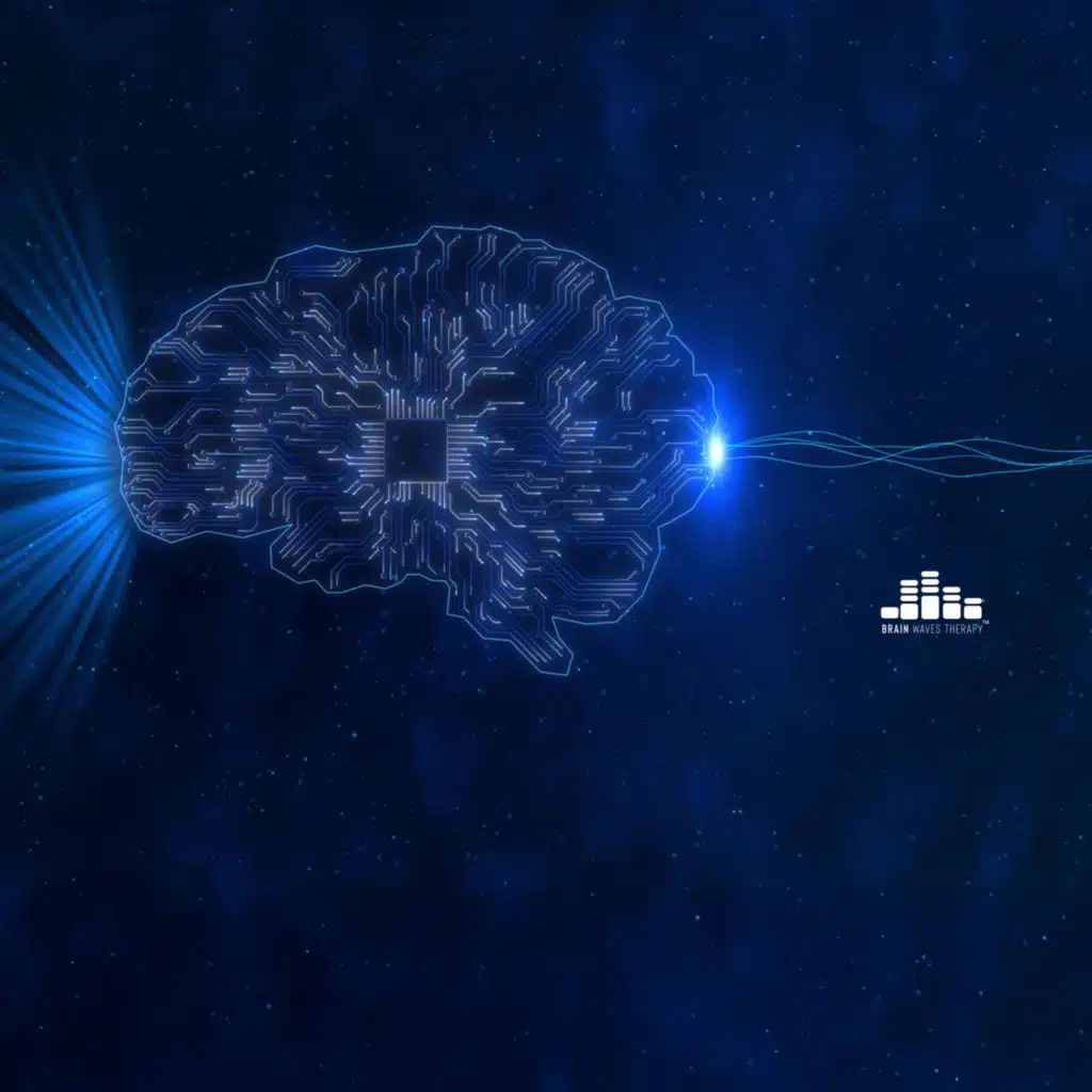 Within the Network