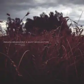 Sakevych: November (Video Edit)
