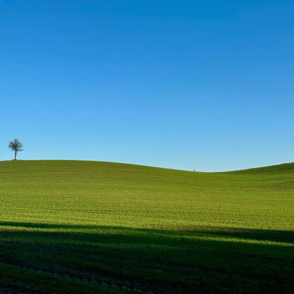 Uberland