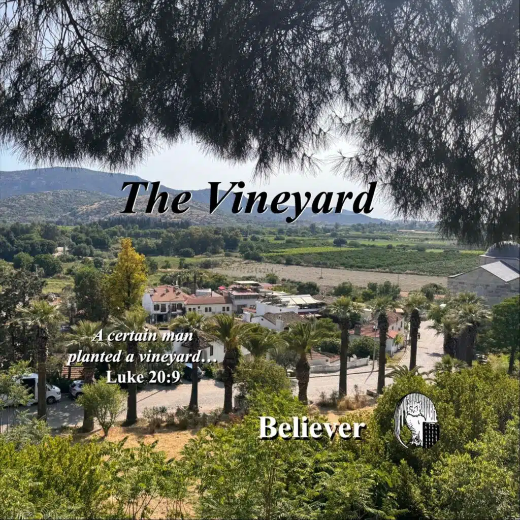 The Vineyard
